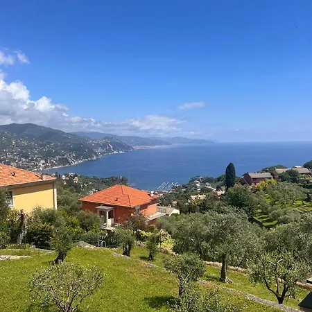 Helene Rose Apartment Rapallo